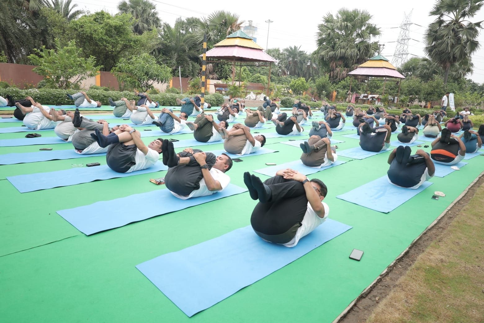 Yoga camp